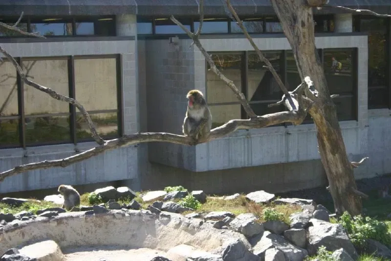 Zoológico de Minnesota