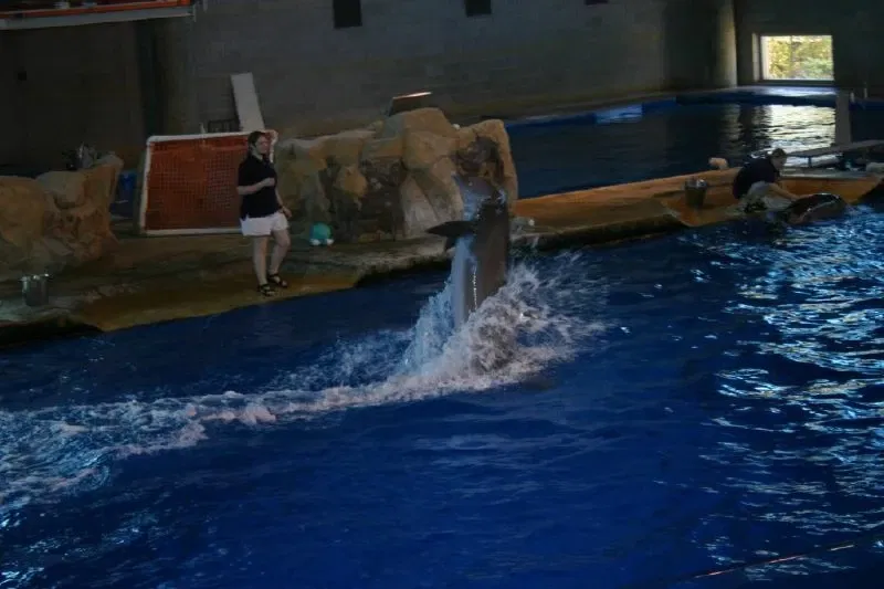 Zoológico de Minnesota