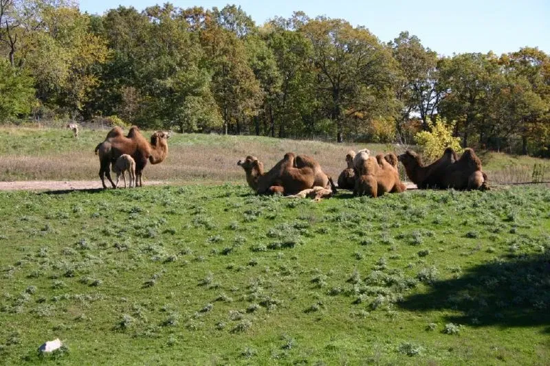 Zoológico de Minnesota
