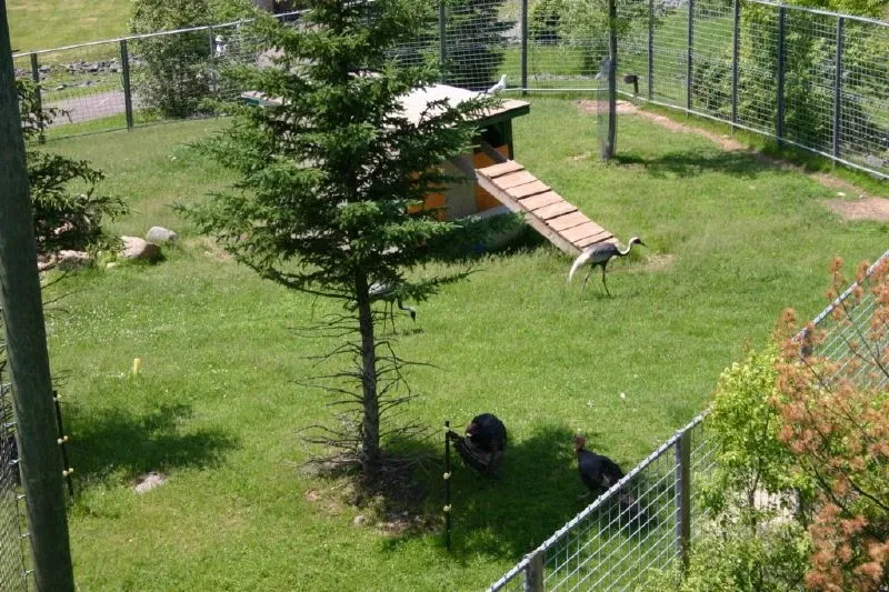 Zoológico de Minnesota