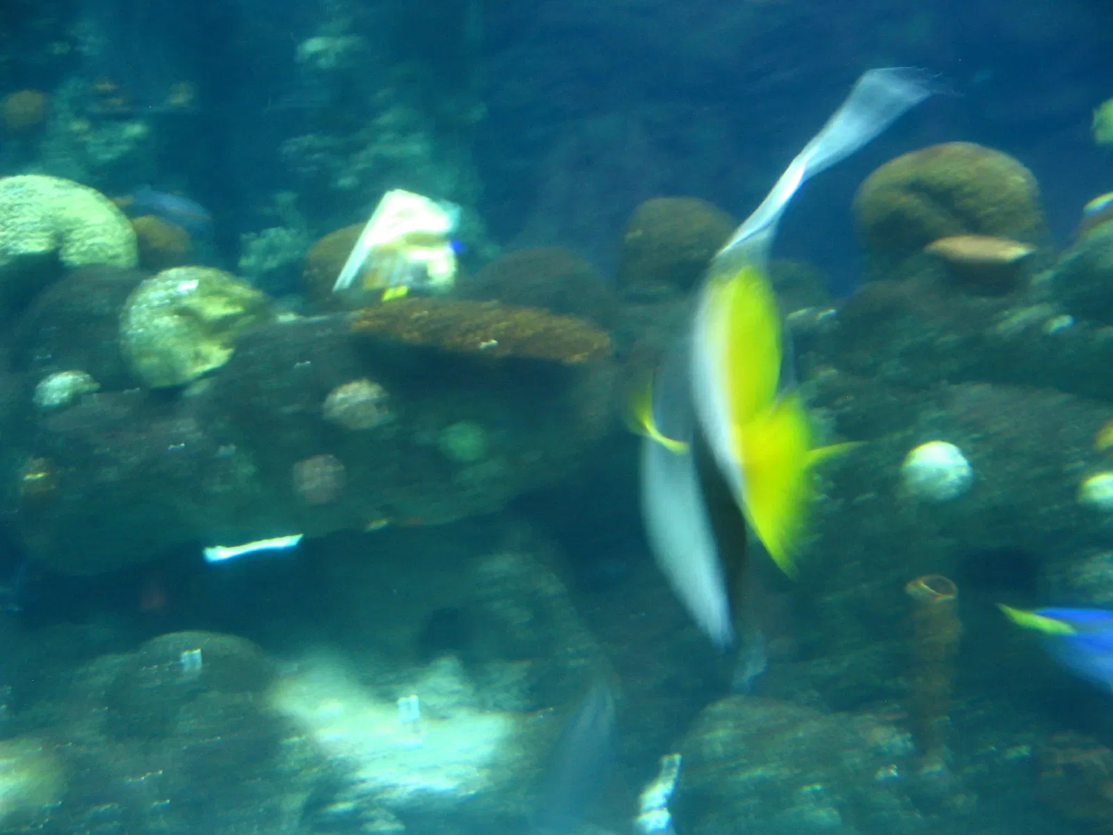 Zoológico de Minnesota