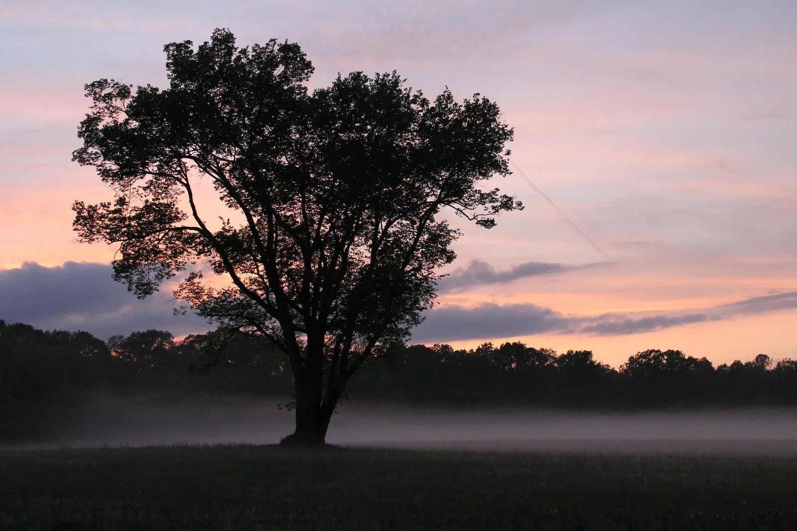 Shiloh National Military Park