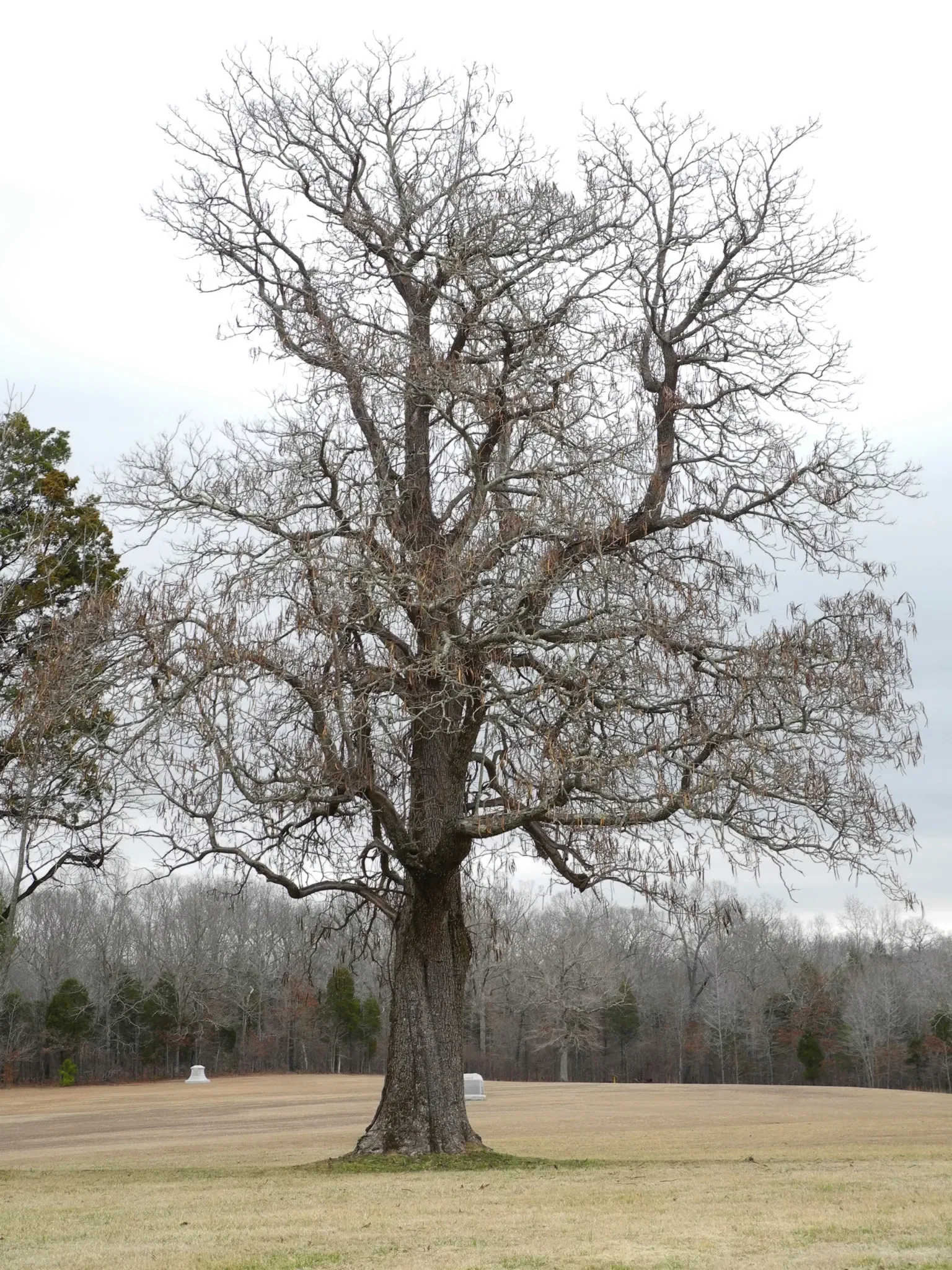 Shiloh National Military Park