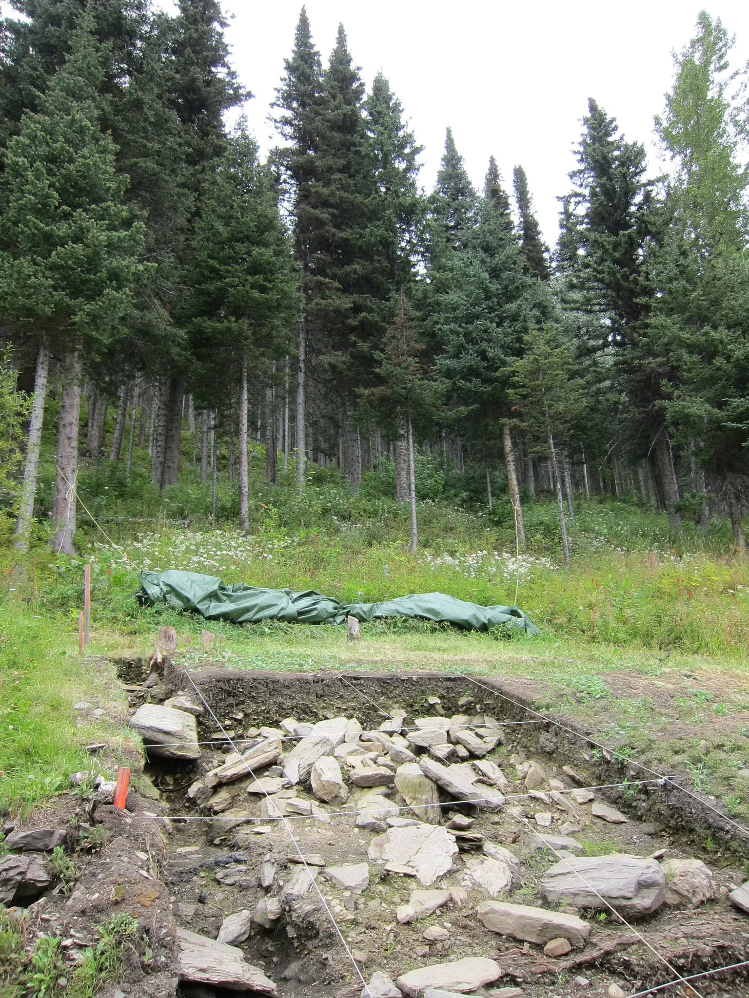 Barkerville (British Columbia)