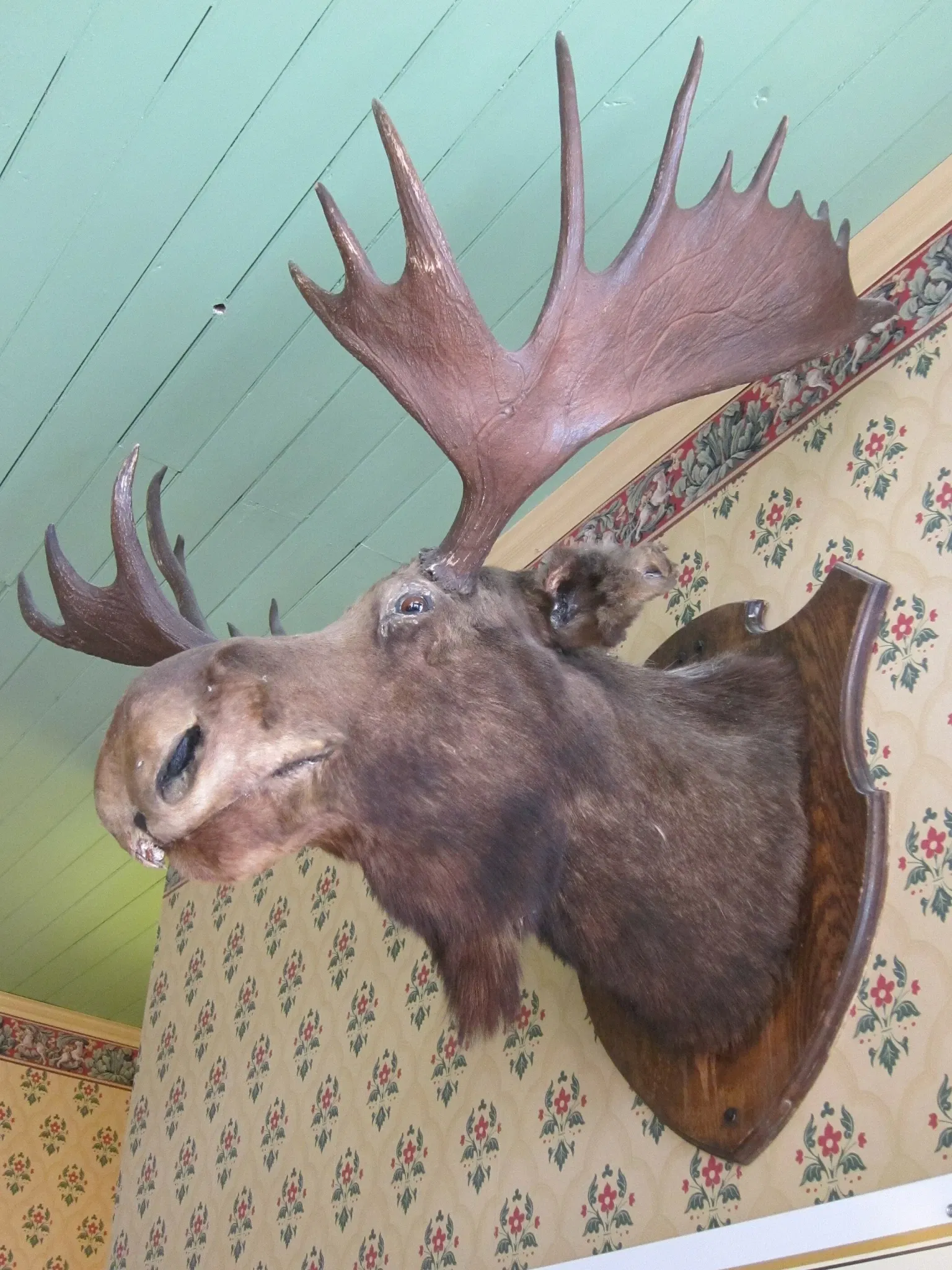 Barkerville Historic Town & Park