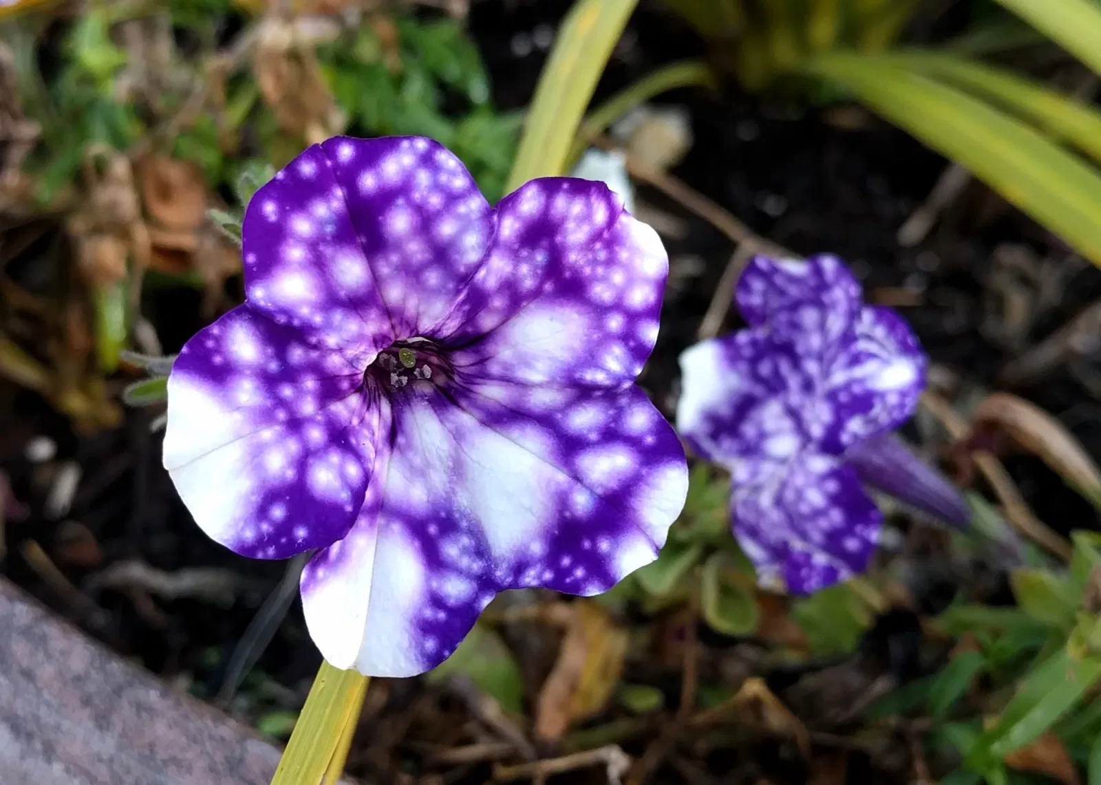 Britannia Mine Museum