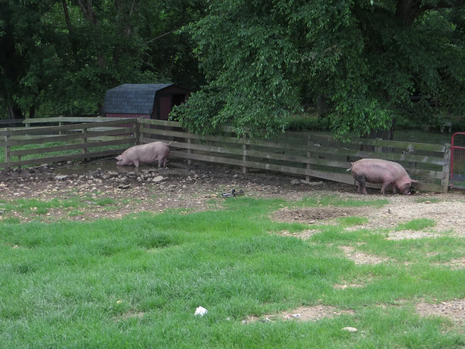 Oxon Cove Park & Oxon Hill Farm