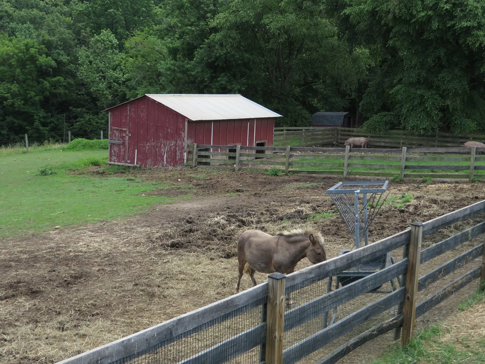 Oxon Cove Park & Oxon Hill Farm