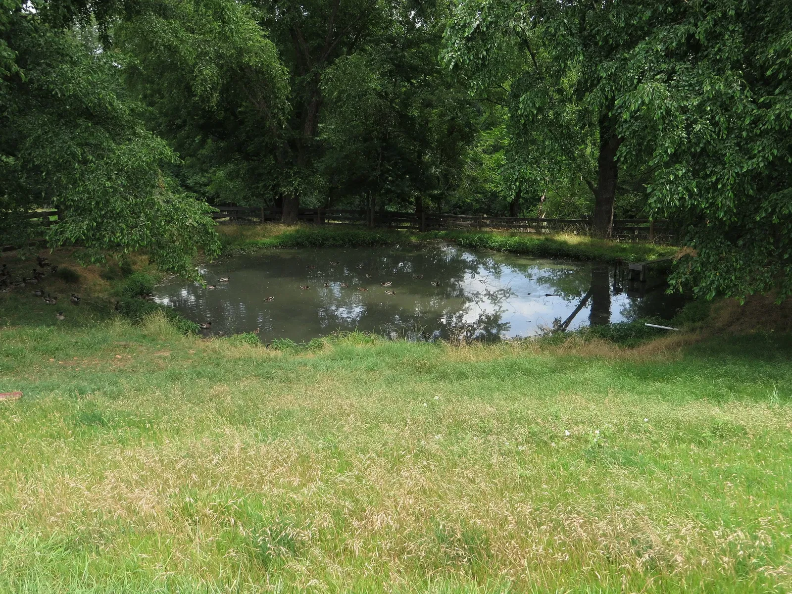 Oxon Cove Park & Oxon Hill Farm