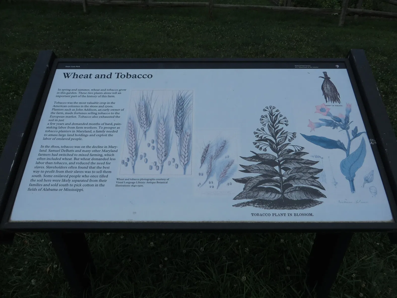 Oxon Cove Park & Oxon Hill Farm