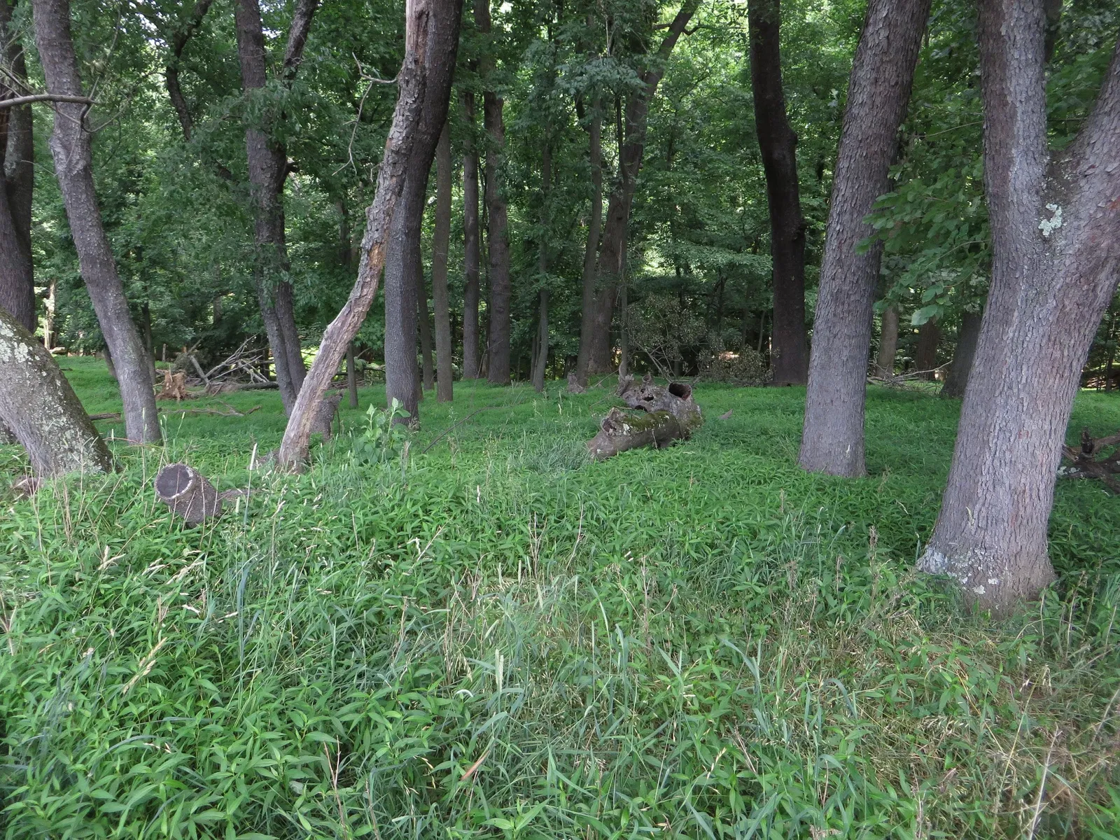 Oxon Cove Park & Oxon Hill Farm