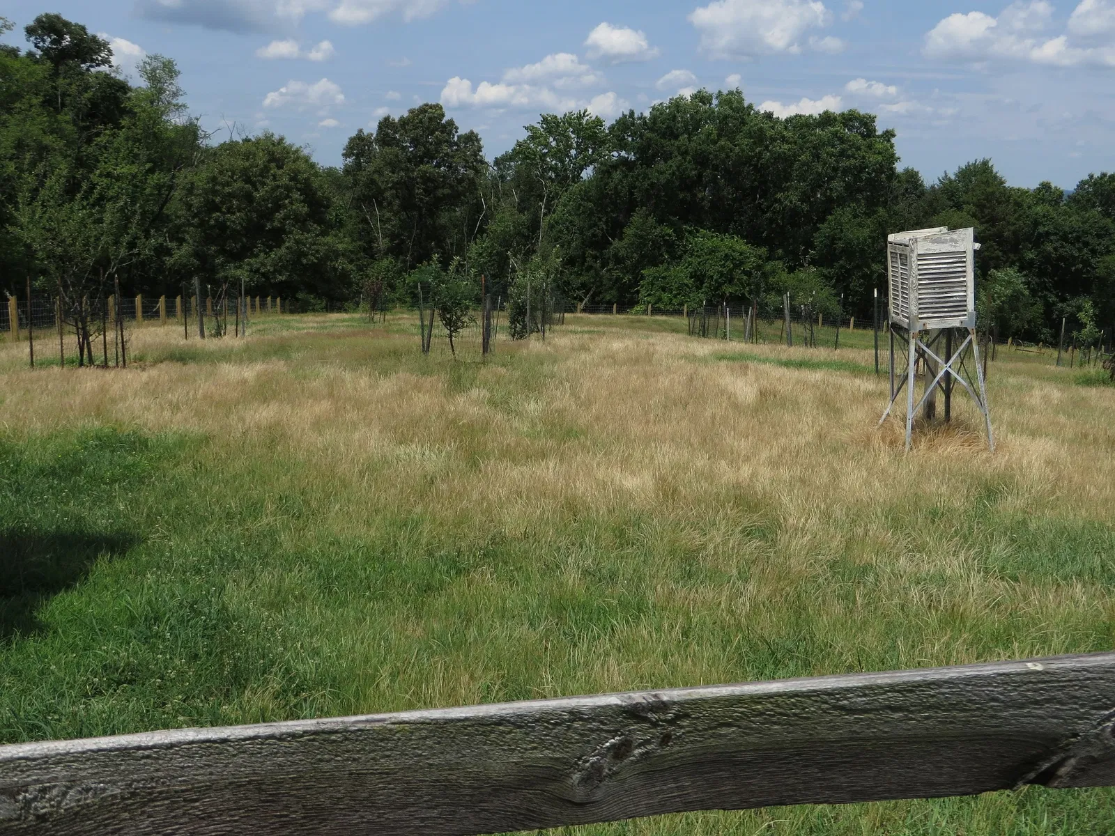 Oxon Cove Park & Oxon Hill Farm