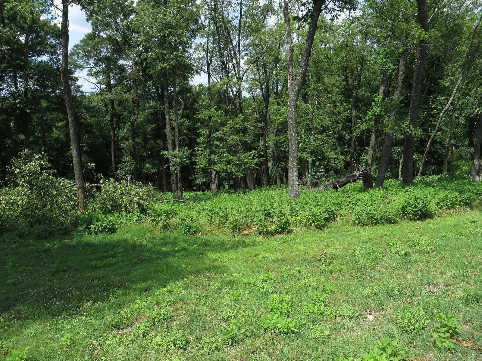 Oxon Cove Park & Oxon Hill Farm