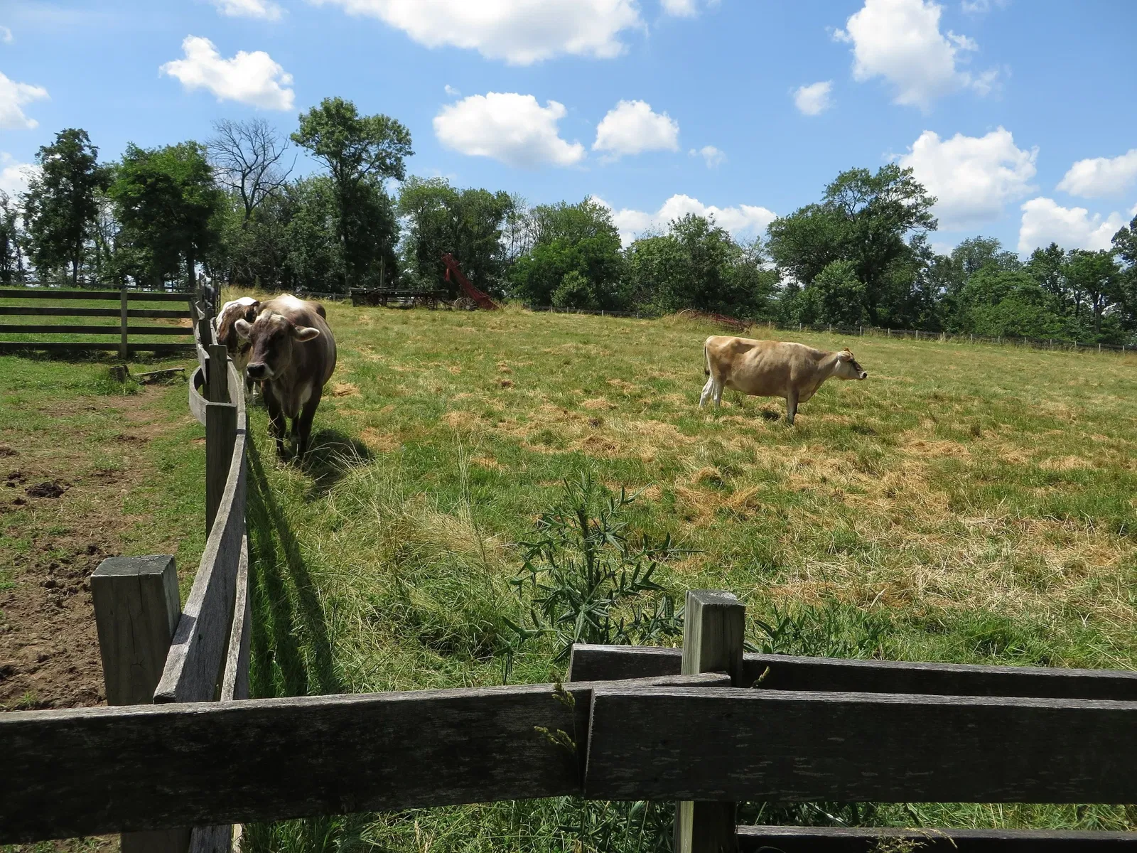 Oxon Cove Park & Oxon Hill Farm