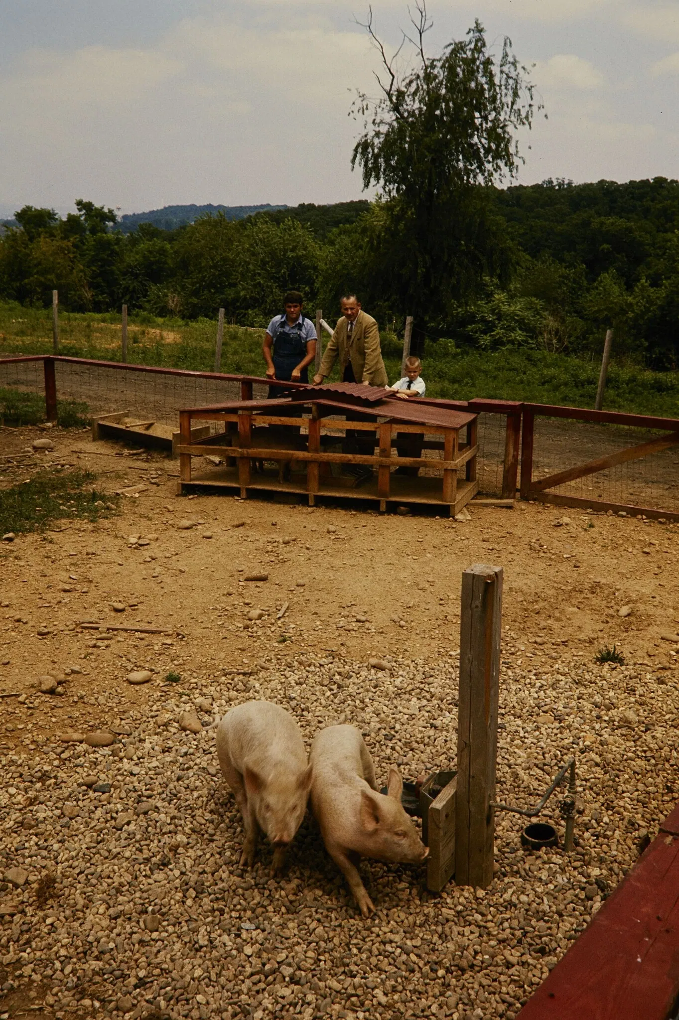 Oxon Cove Park & Oxon Hill Farm