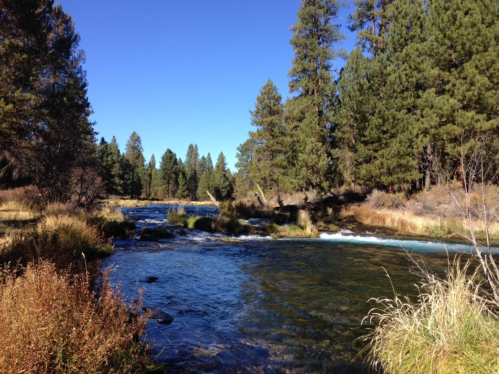 Collier State Park - Logging Museum