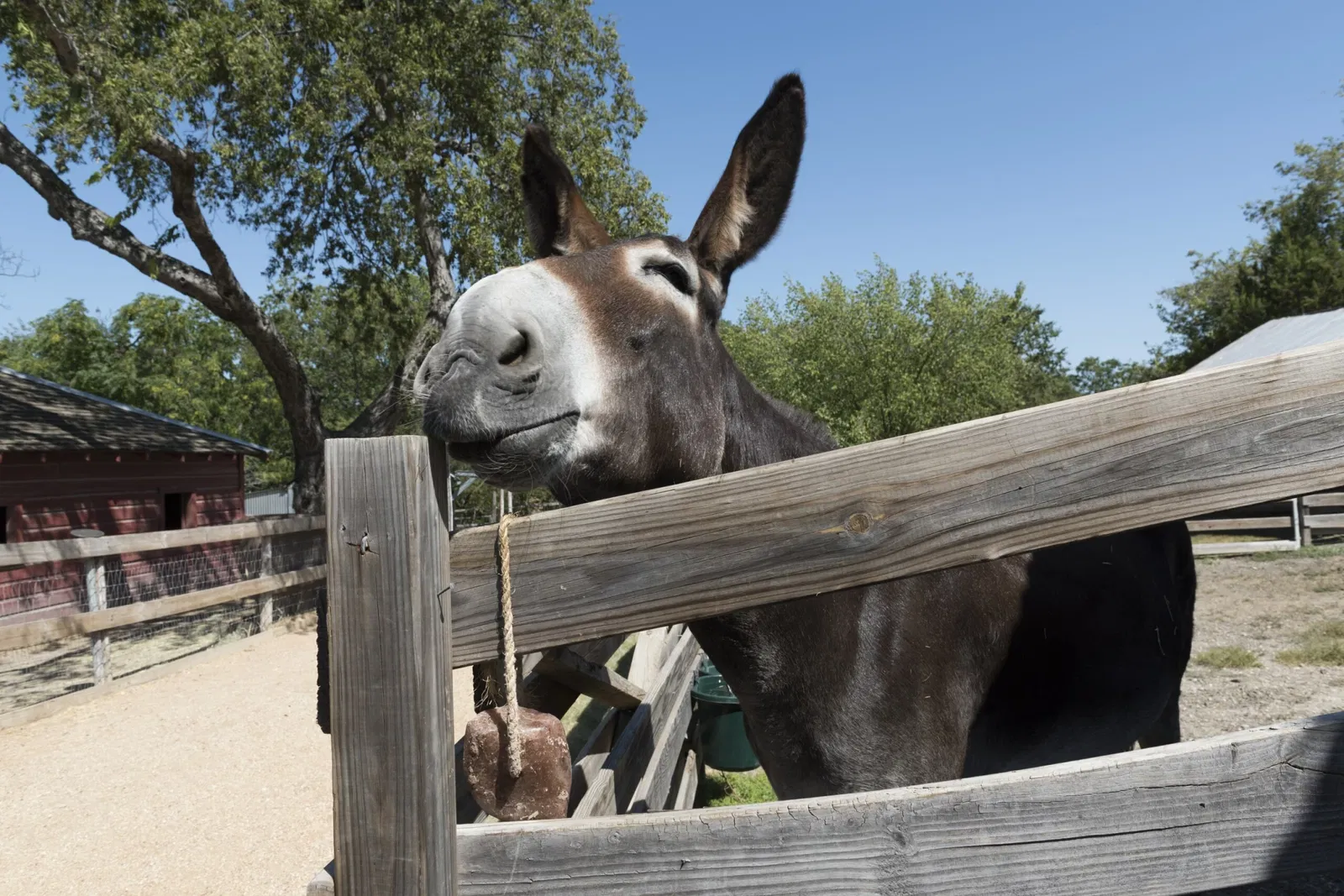Heritage Farmstead Historical Working Farm
