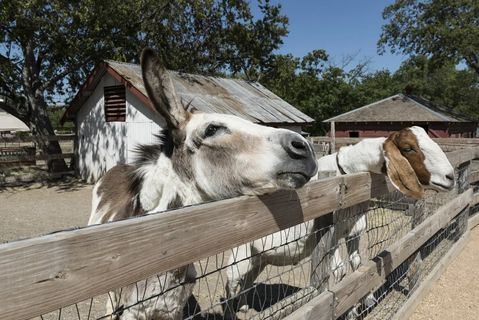 Heritage Farmstead Historical Working Farm