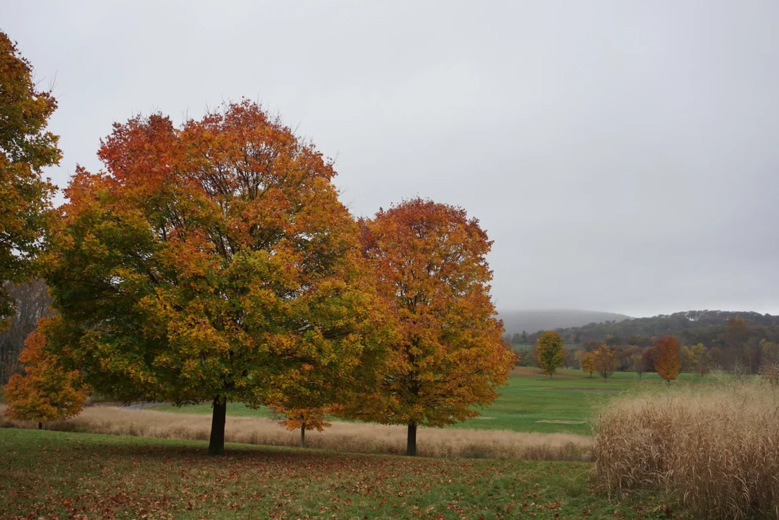 Storm King