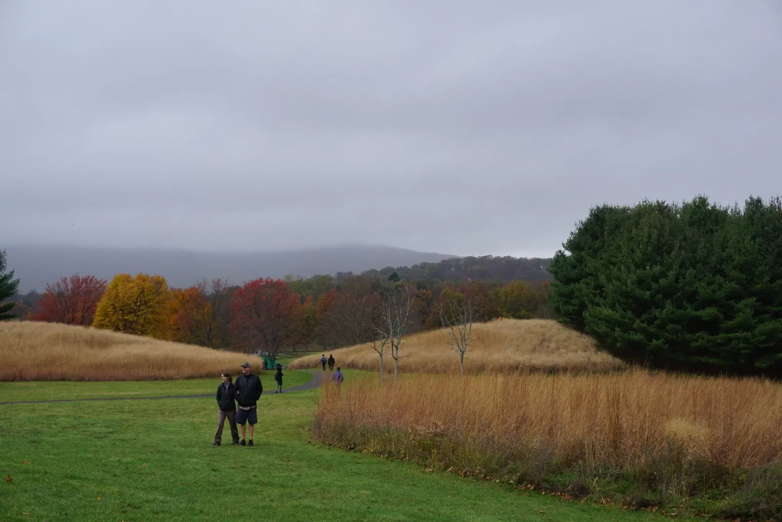 Storm King