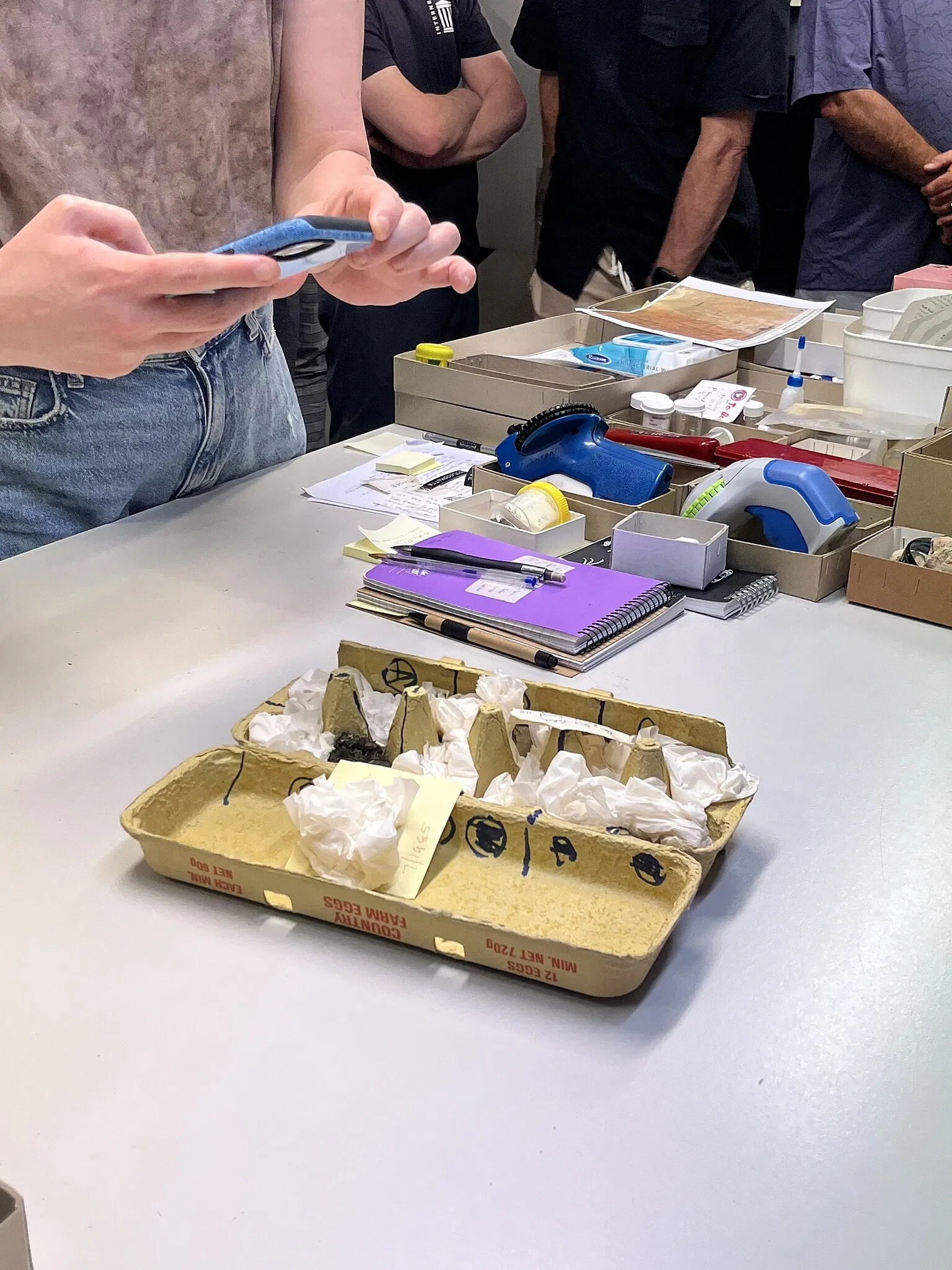 South Australian Museum