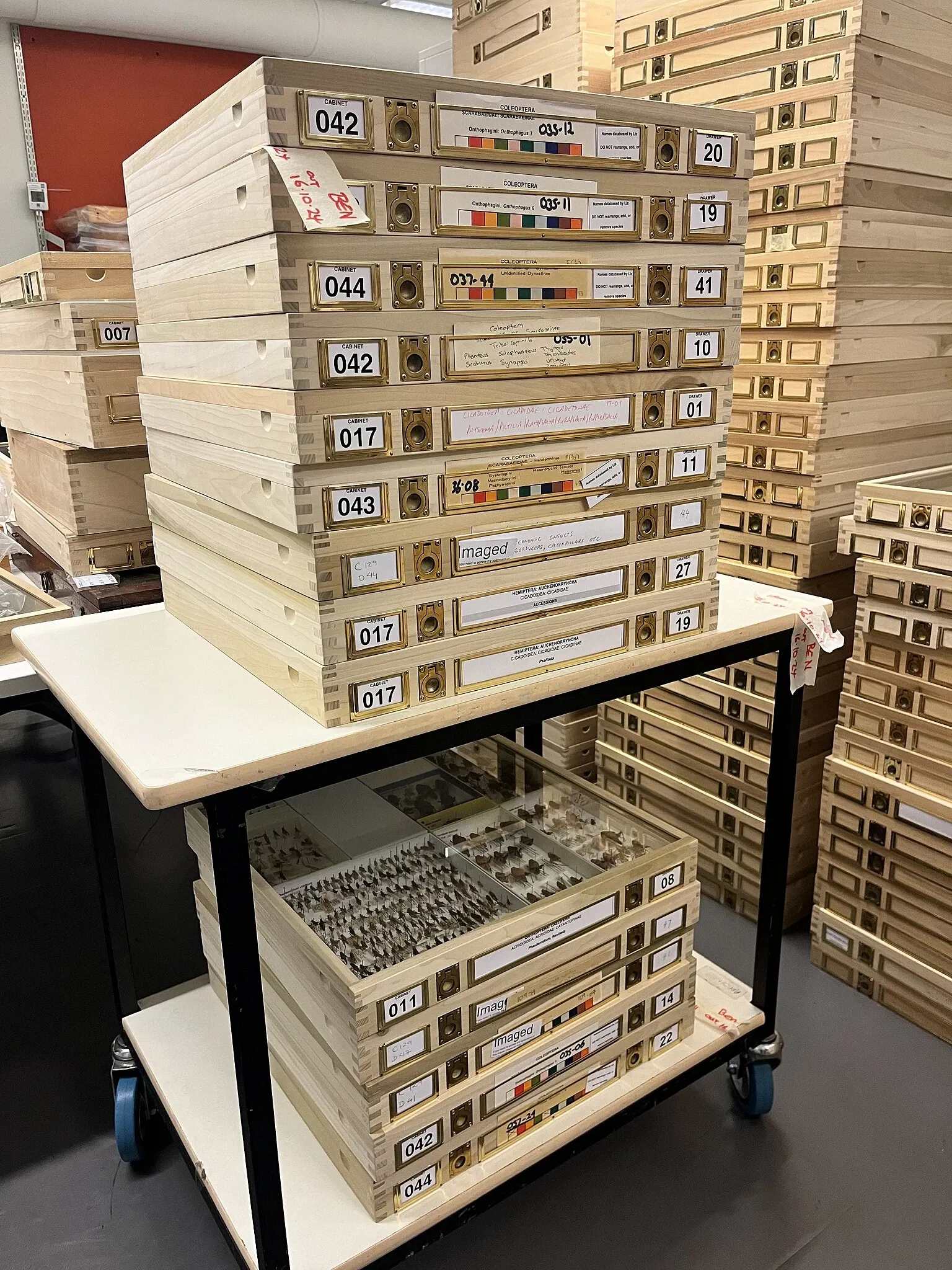 Musée d'Australie-Méridionale