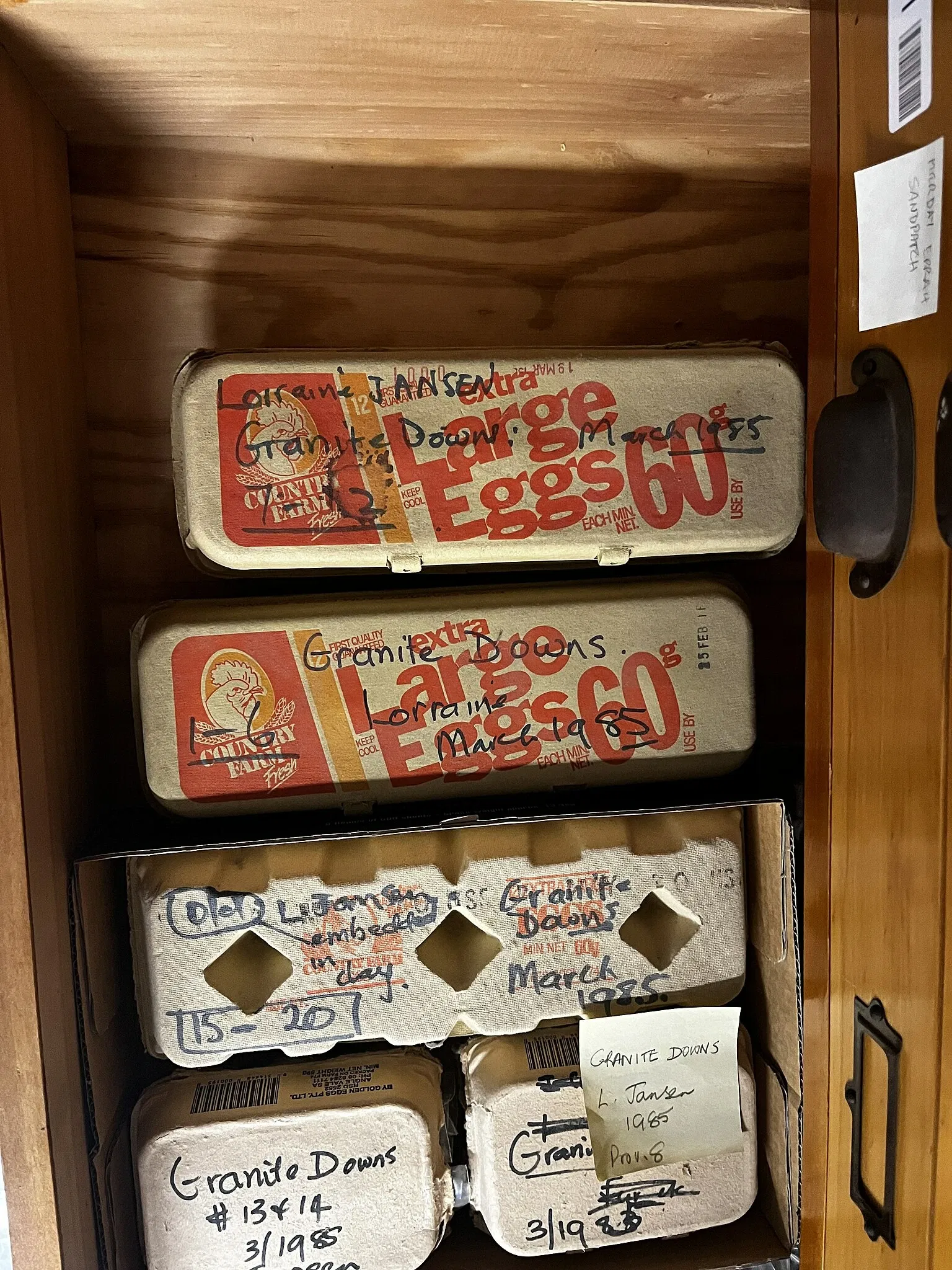 Musée d'Australie-Méridionale