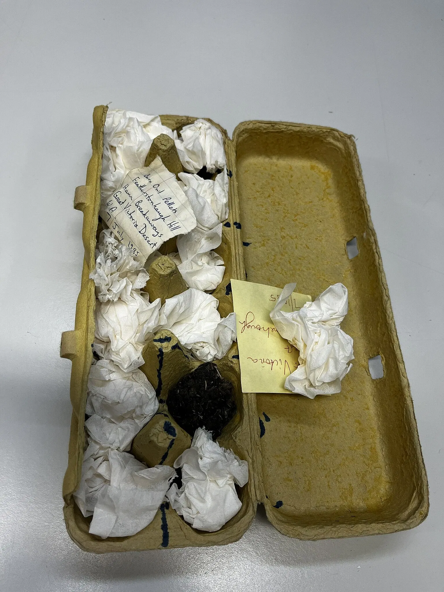 Musée d'Australie-Méridionale