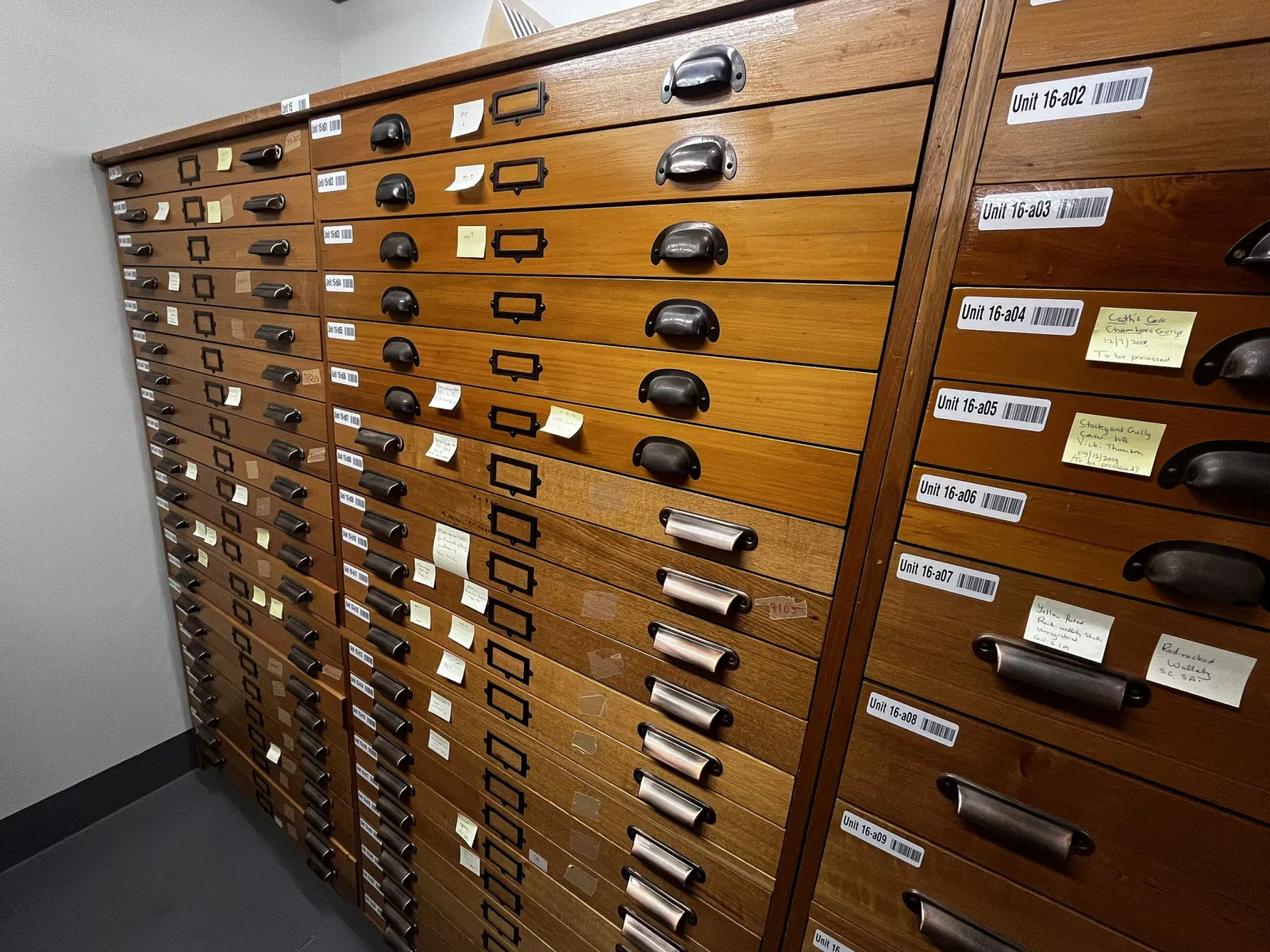 South Australian Museum