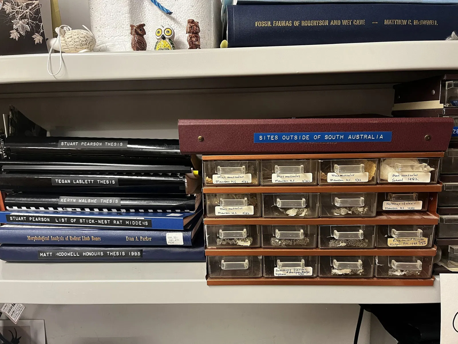 Musée d'Australie-Méridionale