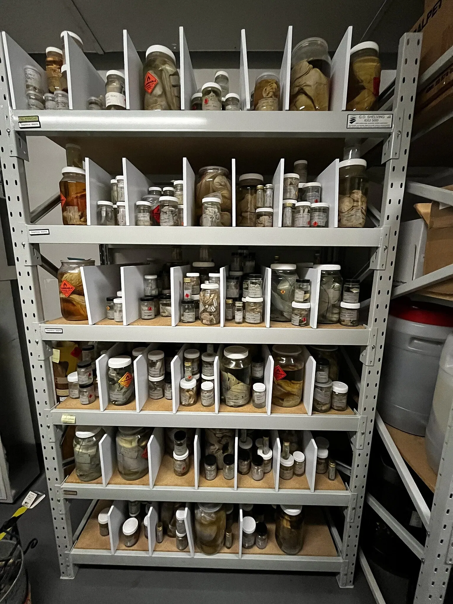 Musée d'Australie-Méridionale