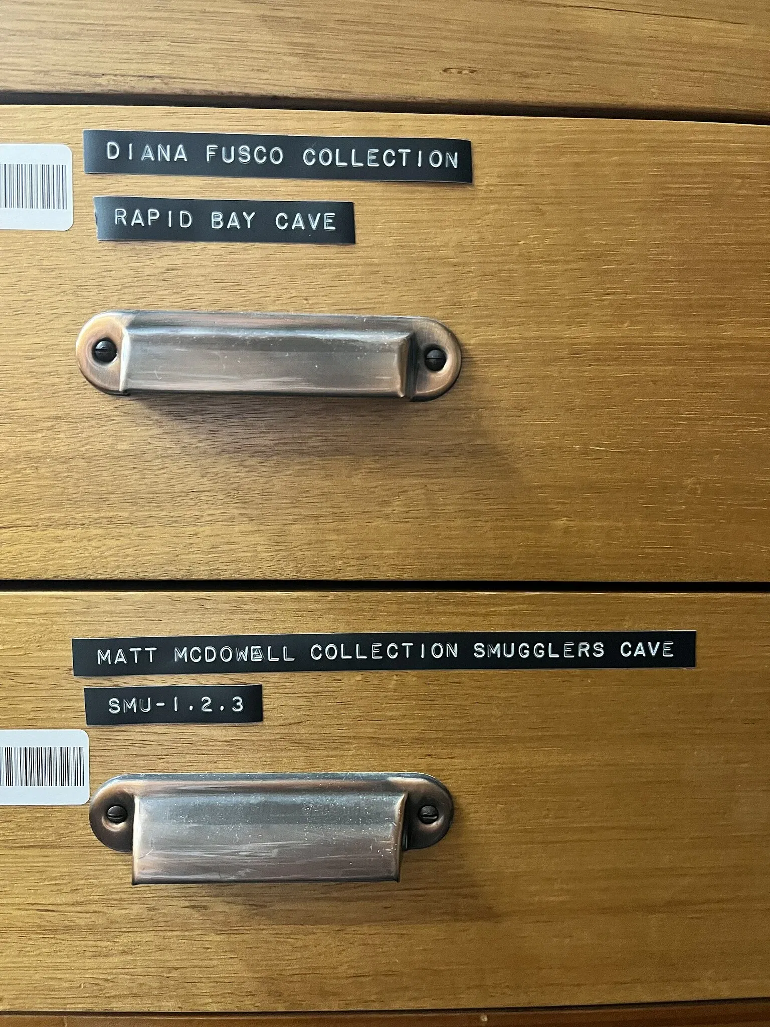 Musée d'Australie-Méridionale