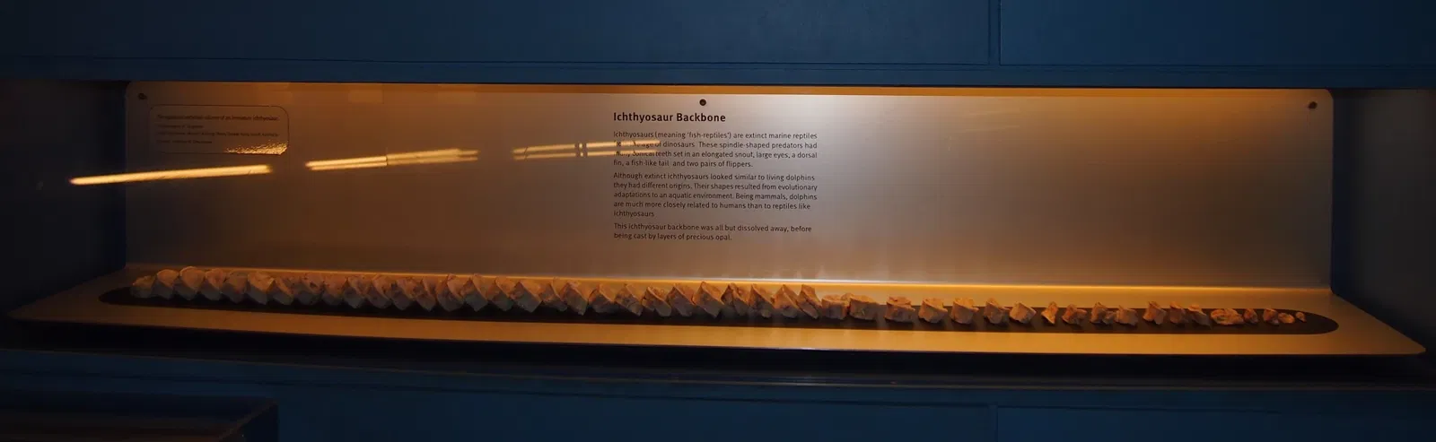 Musée d'Australie-Méridionale