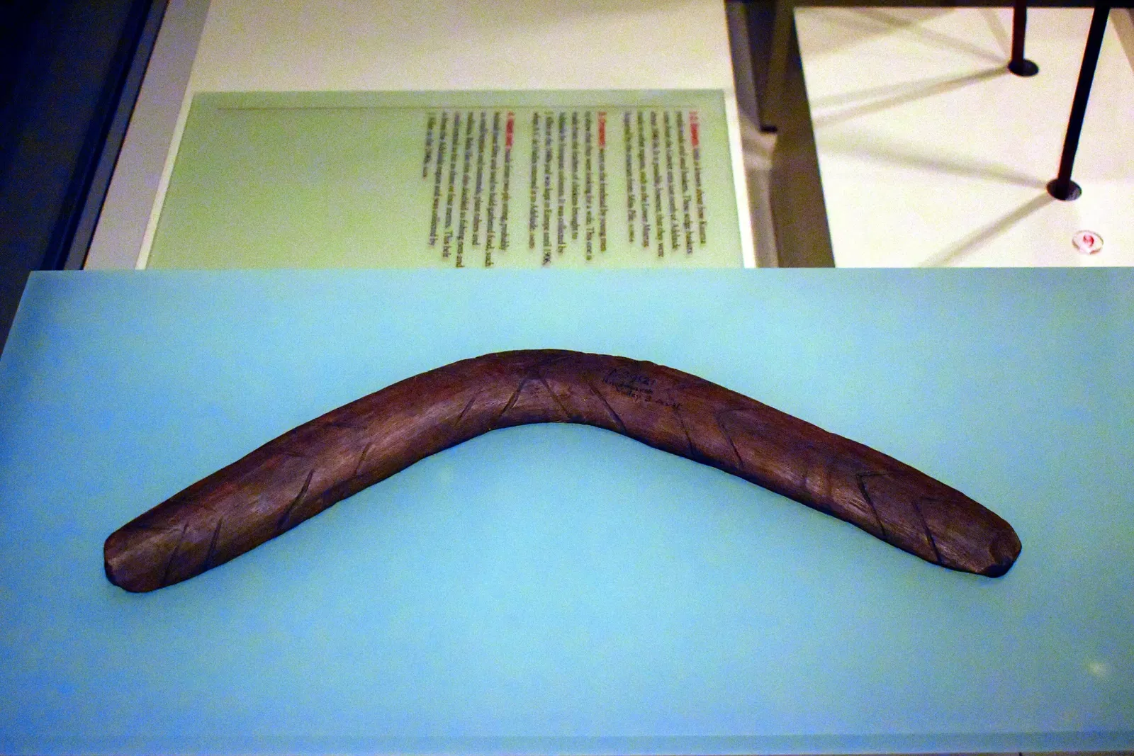 South Australian Museum