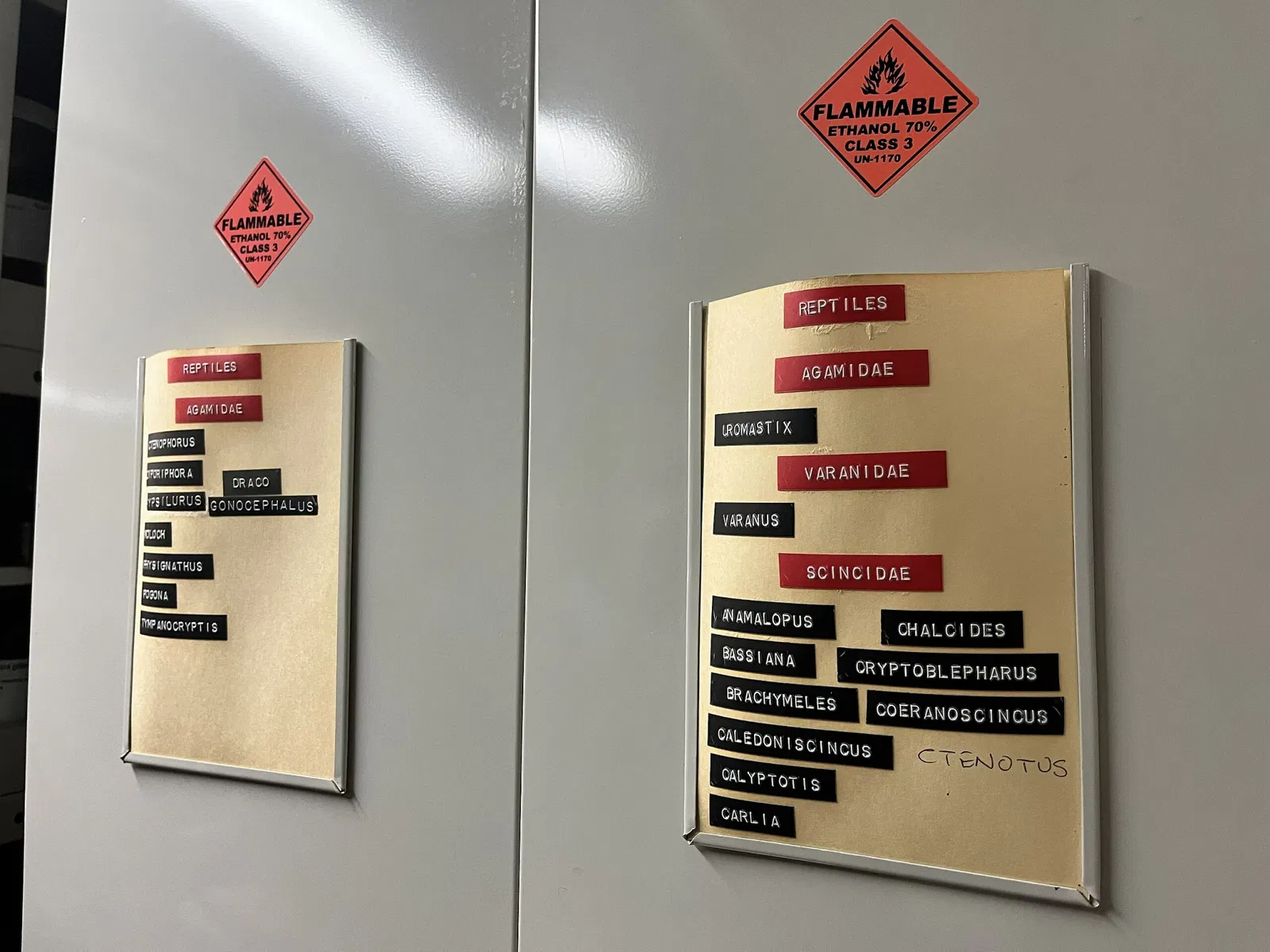 South Australian Museum