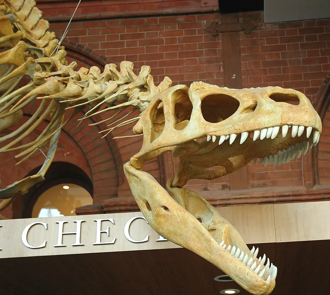 South Australian Museum