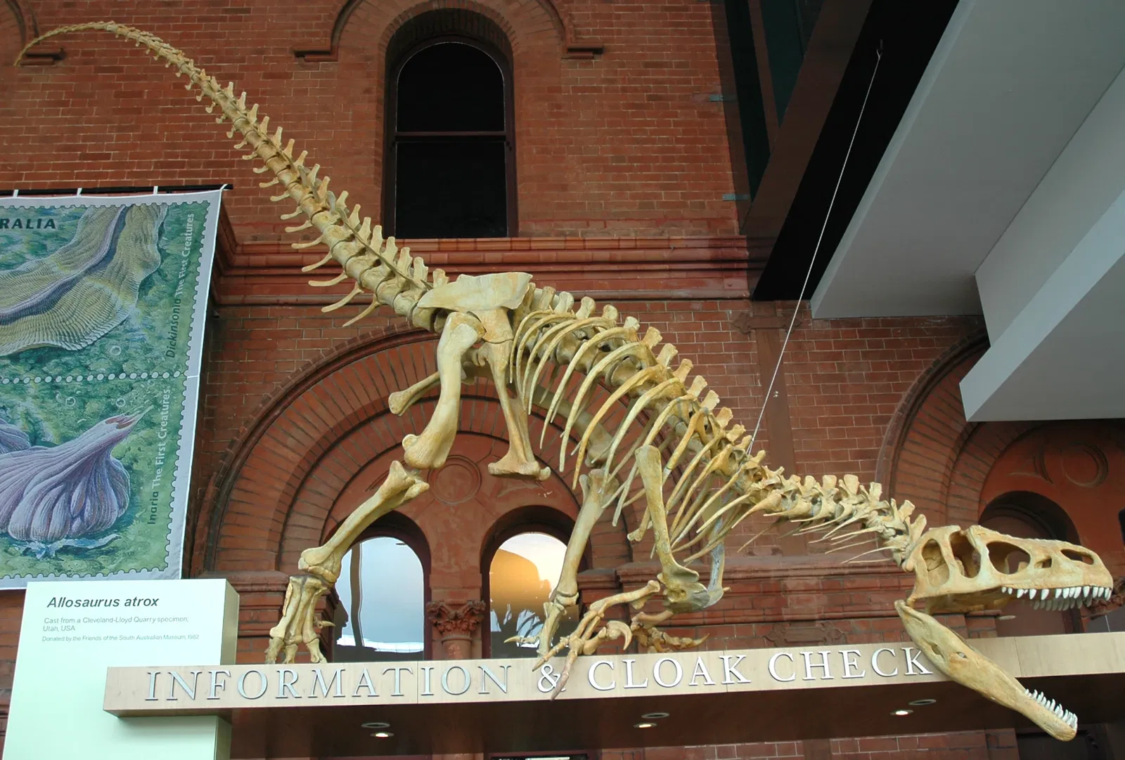 Musée d'Australie-Méridionale