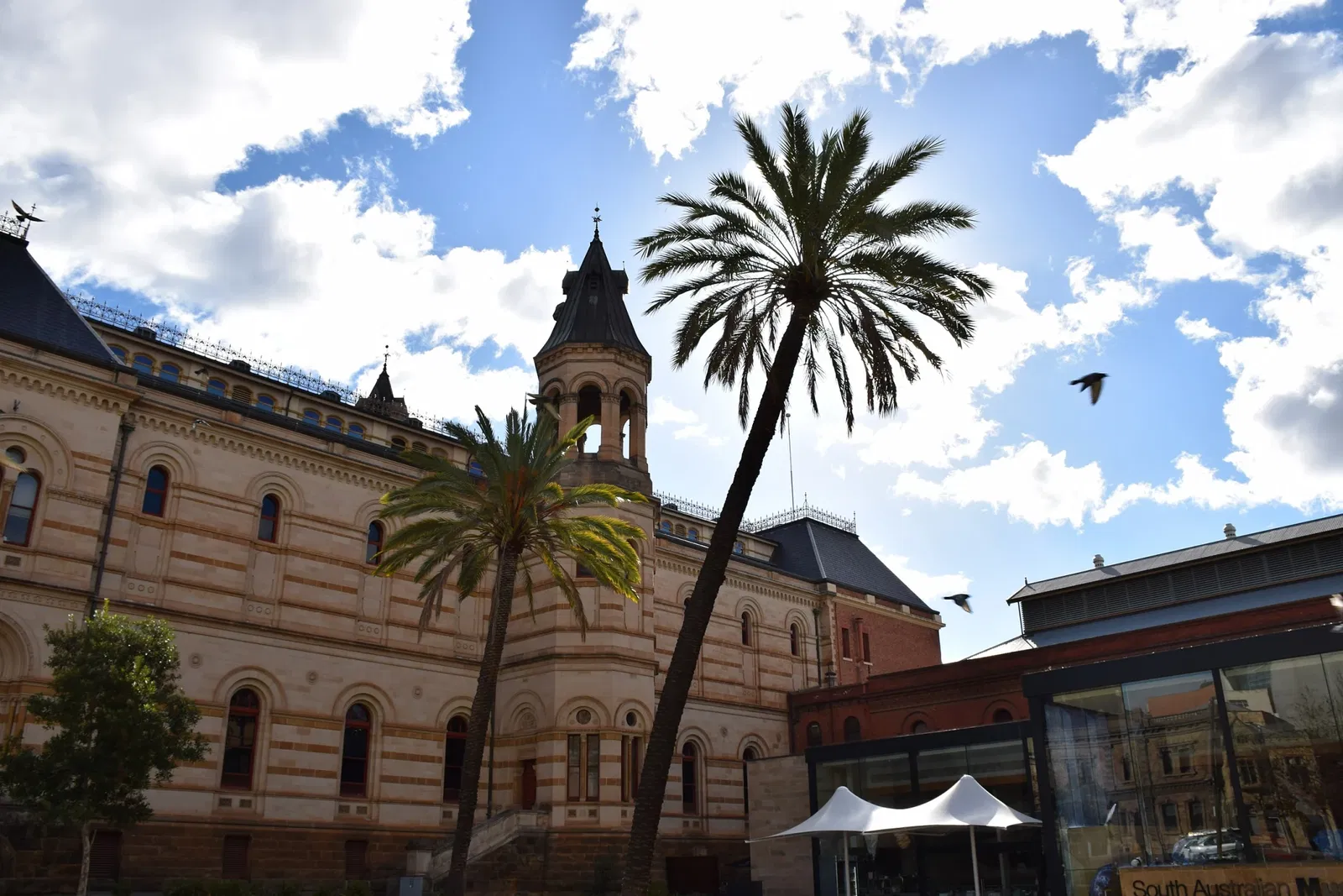 South Australian Museum