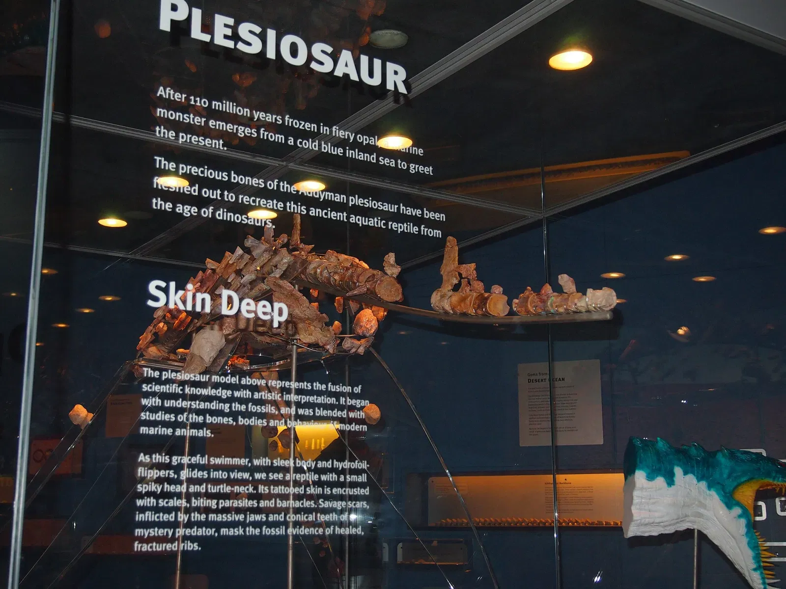 Musée d'Australie-Méridionale