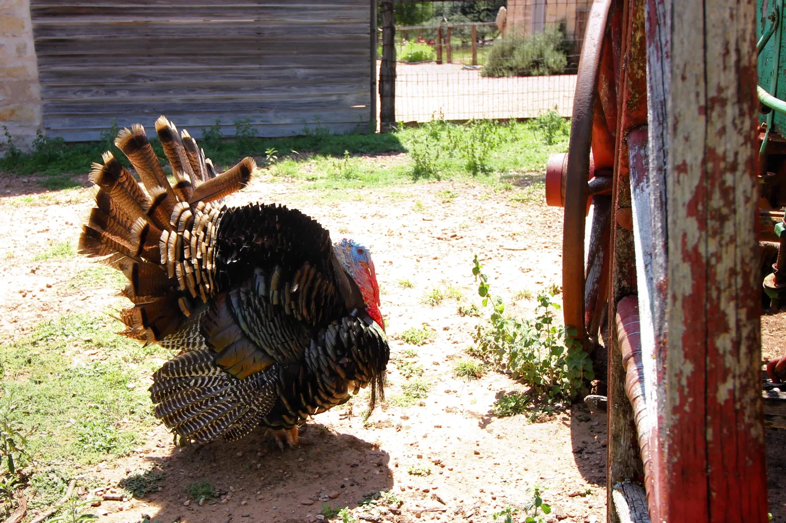 Lyndon B. Johnson State Park & Historic Site