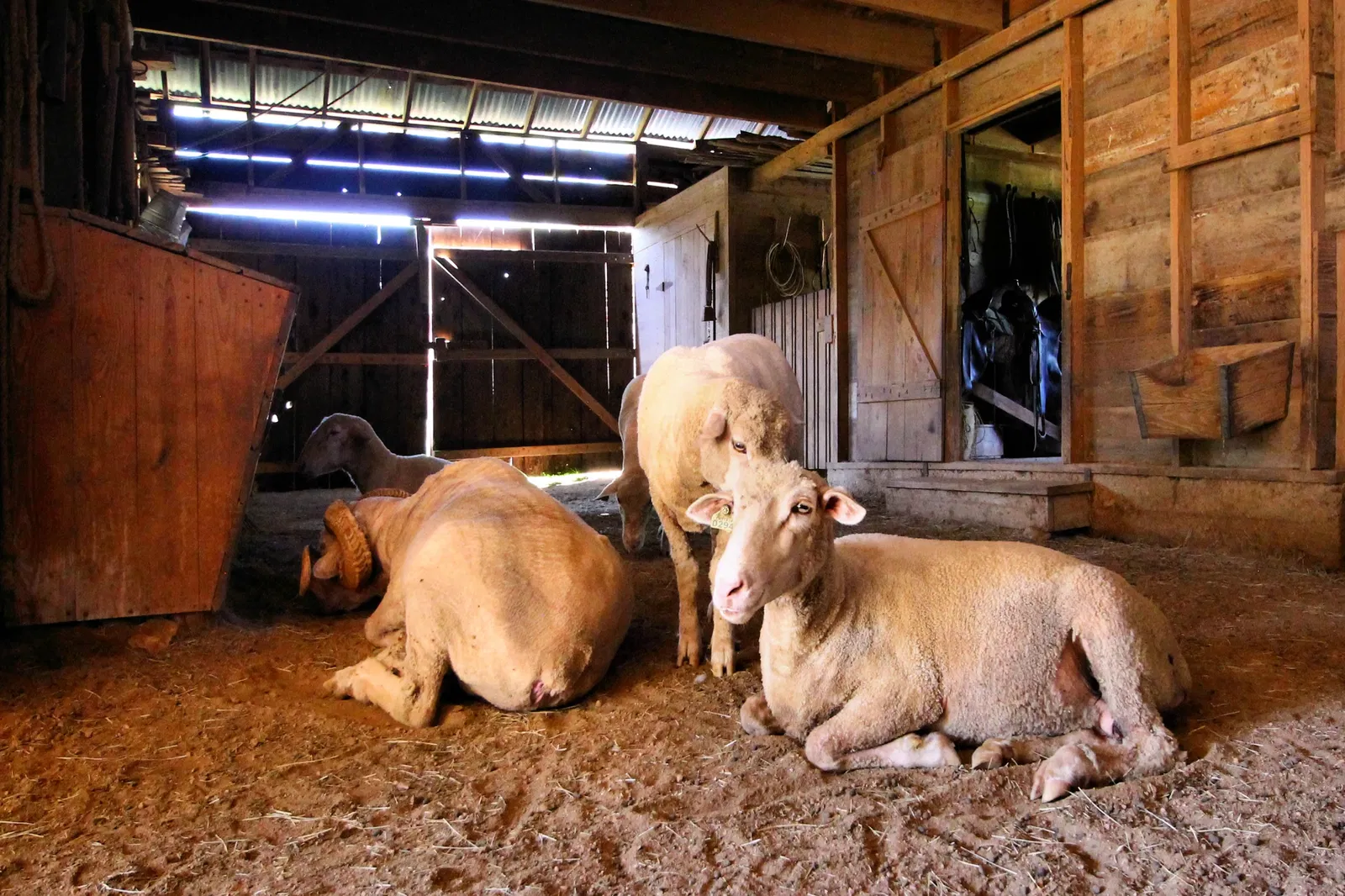 Lyndon B. Johnson State Park & Historic Site