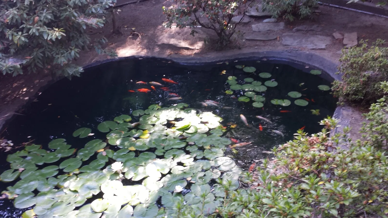 Oroville Chinese Temple