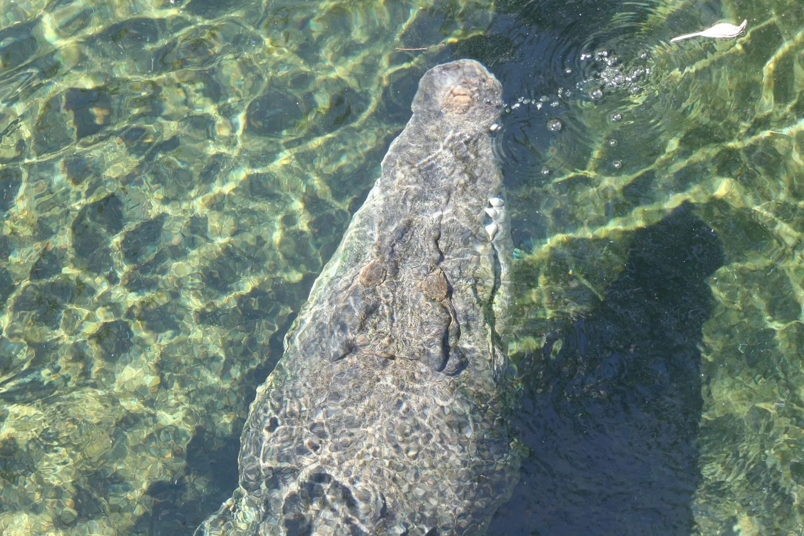 Sea Life Sydney Aquarium
