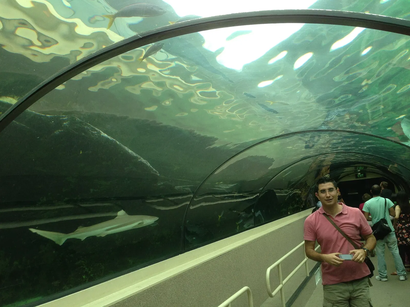 Sea Life Sydney Aquarium