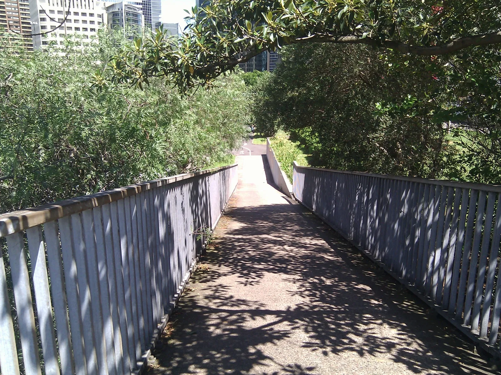 Osservatorio di Sydney