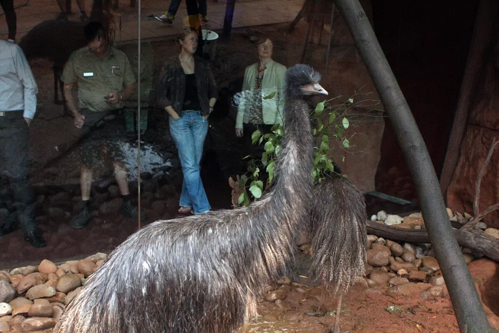 Madame Tussauds Sydney