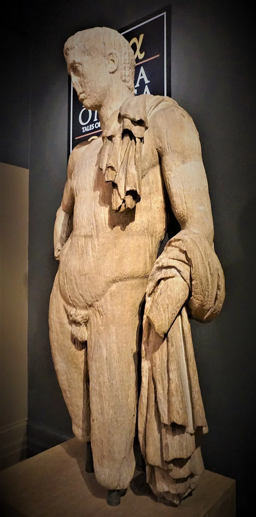 Nicholson Museum