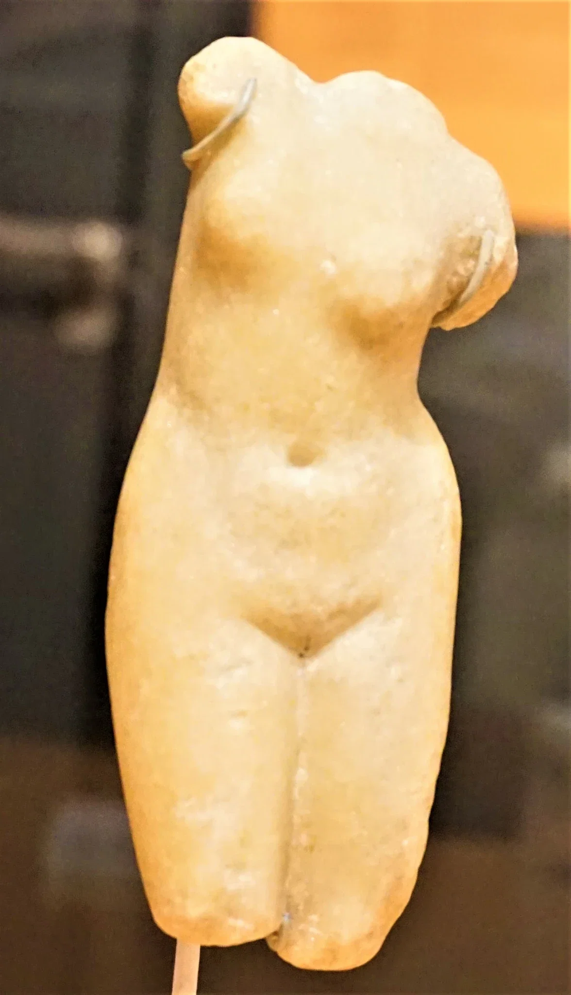 Nicholson Museum