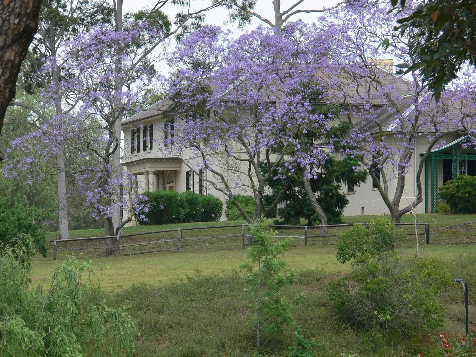 Old Government House (Parramatta)