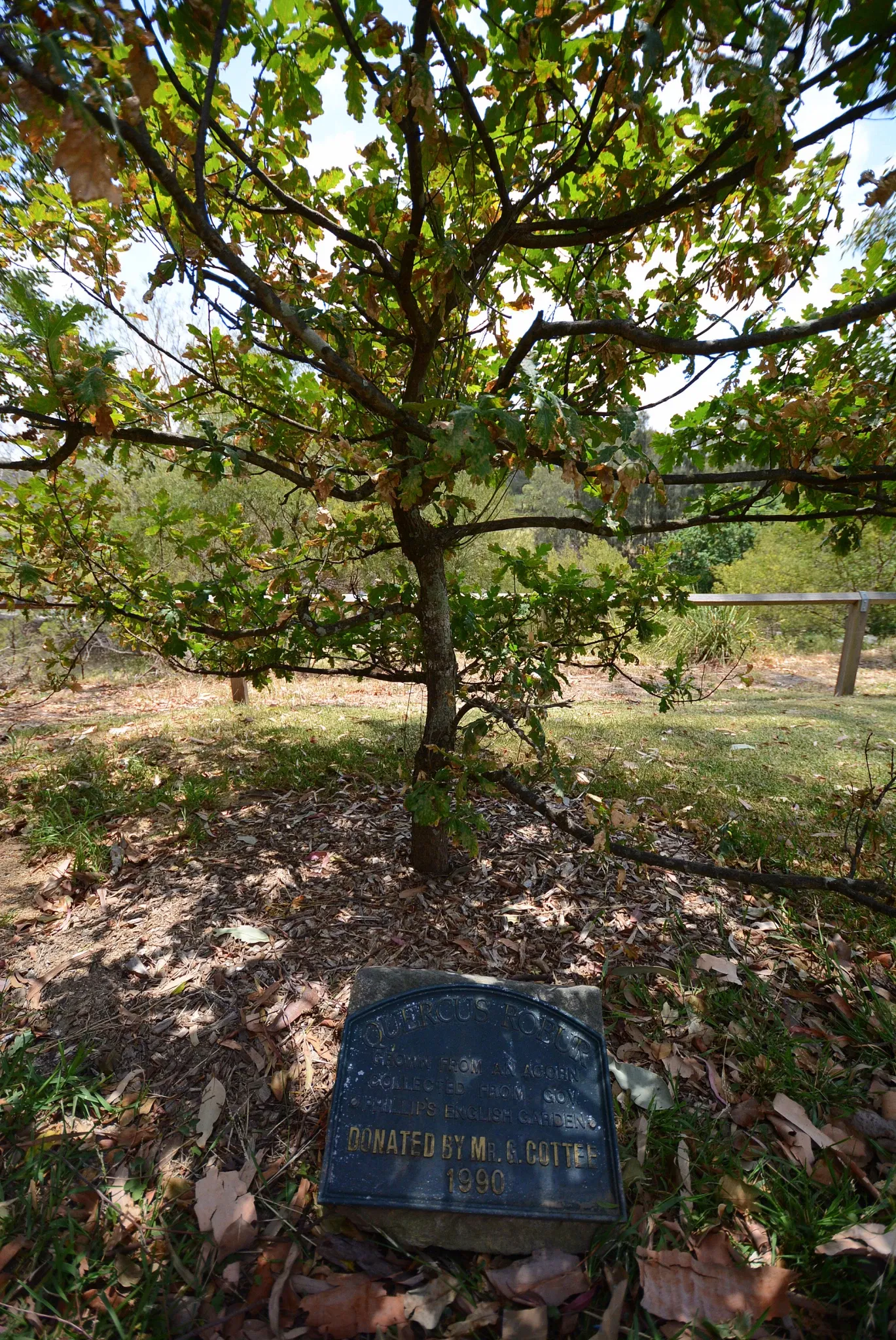 Old Government House and Government Domain